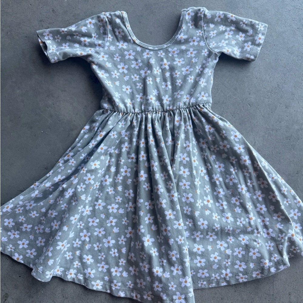 Alice + Ames short sleeve ballet dress green daisies size 4